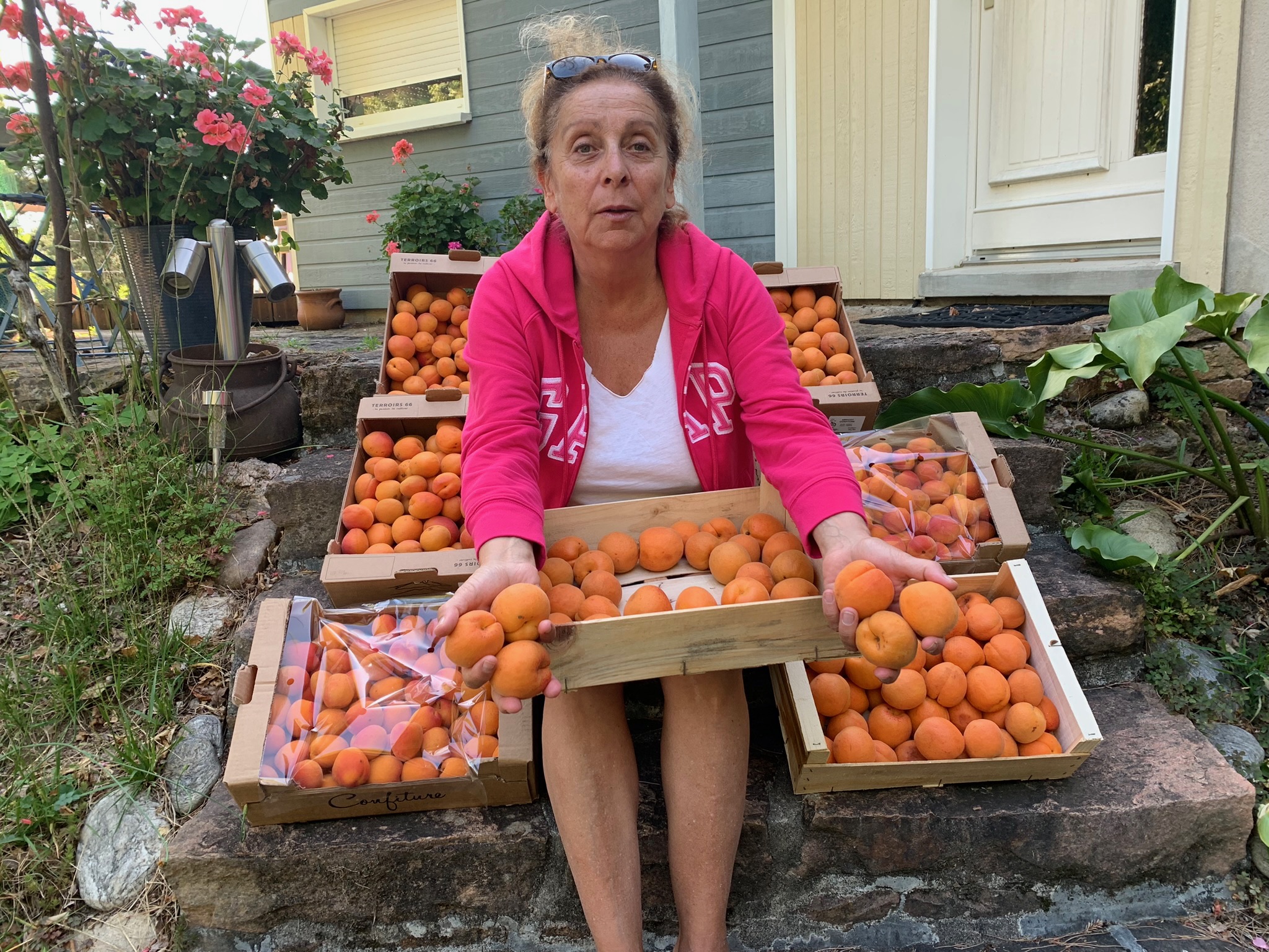 Martine avec les cagettes d'abricots frais